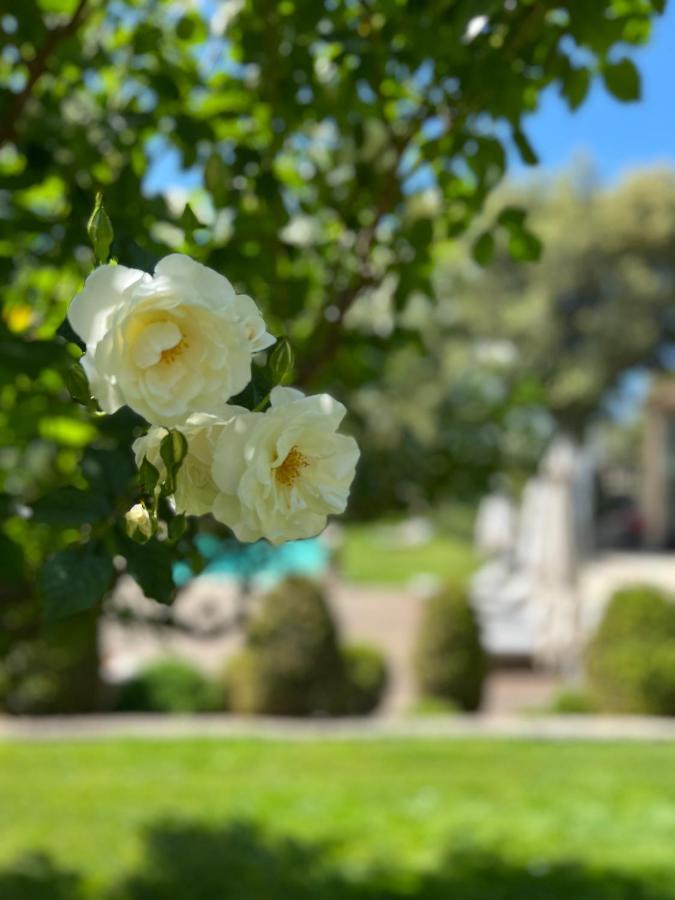Villa Hautvallon - Peaceful Escape In Provence Горд Екстериор снимка